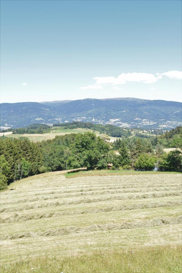 Bed and Breakfast L'Embellie Bertignat Esterno foto