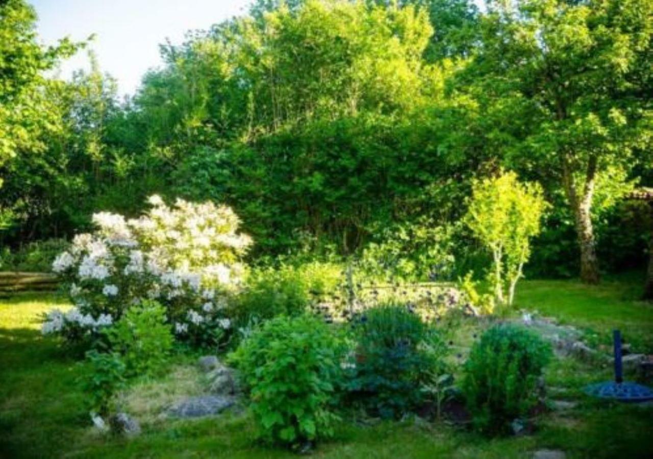 Bed and Breakfast L'Embellie Bertignat Esterno foto